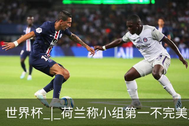 世界杯 | 荷兰称小组第一不完美 摩洛哥是“硬茬”