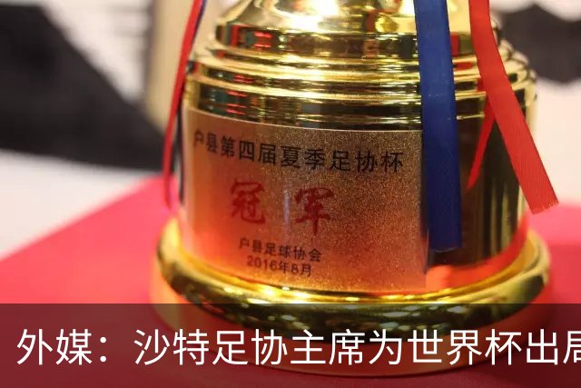 外媒：沙特足协主席为世界杯出局担责辞职 足协不会因此出现真空